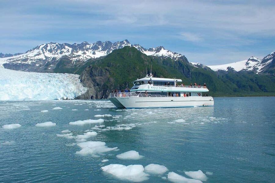 Seward: Kenai Fjords National Park Glacier & Wildlife Cruise - Through the fjords toward the glaciers