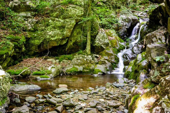 Shenandoah National Park Self-Guided Driving Audio Tour - Loft Mountain, Big Run, and the southern stretch