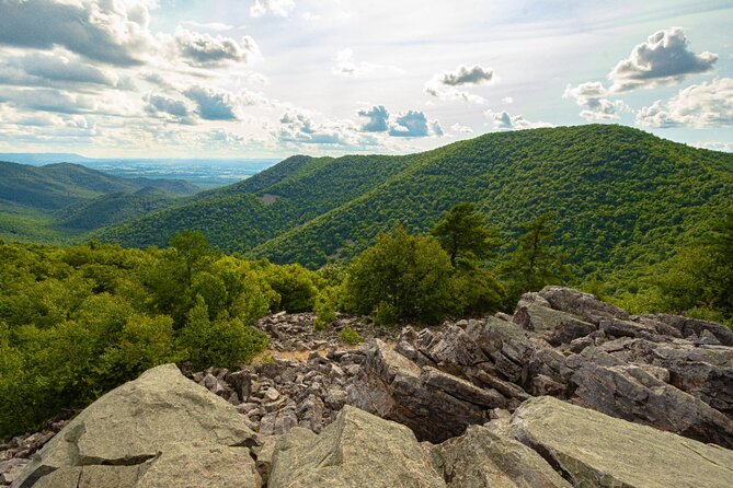 Shenandoah National Park Self-Guided Driving Audio Tour - Price, timing, and practical value