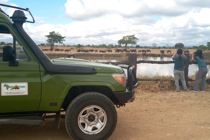 Short Safari from Dar es Salaam to Mikumi National Park - 2 Days - The early morning drive and second chance for wildlife