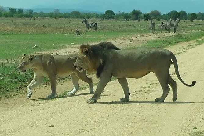 Short Safari from Dar es Salaam to Mikumi National Park - 2 Days - Is $745 a fair price?