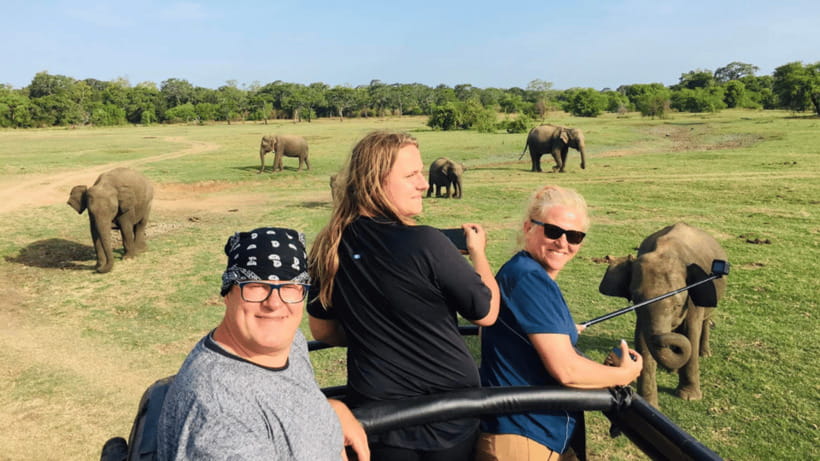 Sigiriya Rock Hike & Minneriya Elephant Safari – Day Tour - Choosing between a driver and a proper Sigiriya guide