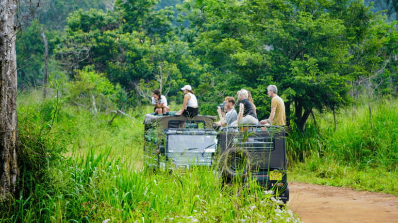 Sigiriya Rock Hike & Minneriya Elephant Safari – Day Tour - Lunch: a detail you should settle before departure