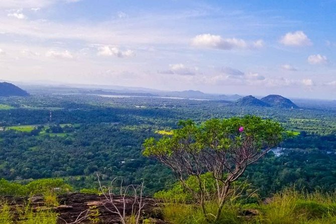 Sigiriya Rock or pidurangala and Polonnaruwa and National Park - Why Polonnaruwa is the right first stop