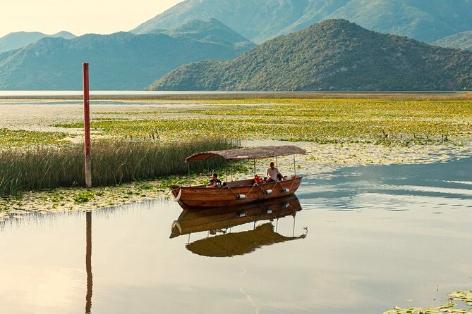Skadar Lake National Park: Birdwatching & Photography Tour - Choosing the right departure time