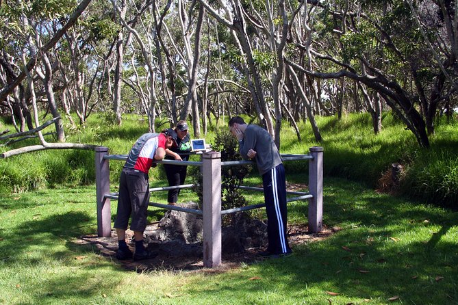 Small-Group Big Island Tour: Hawaii Volcanoes National Park and Kona Coffee Farm - Food, comfort, and the long ride home