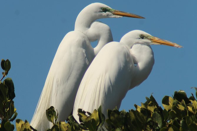 Small Group Boat, Kayak and Walking Guided Eco Tour Everglades - The guides make the difference