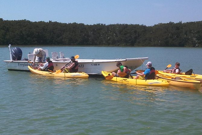 Small Group Boat, Kayak and Walking Guided Eco Tour Everglades - Kayaking through mangroves without previous experience