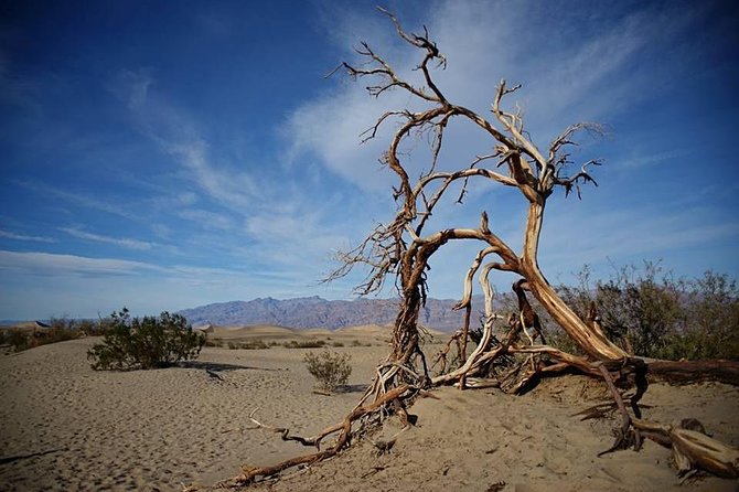 Small-Group Death Valley National Park Day Tour from Las Vegas - Furnace Creek, lunch, and the borax story