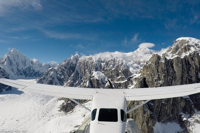Small-Group Flight Denali National Park Tour with Guided Hike - Landing near a remote lodge for the four-hour hike