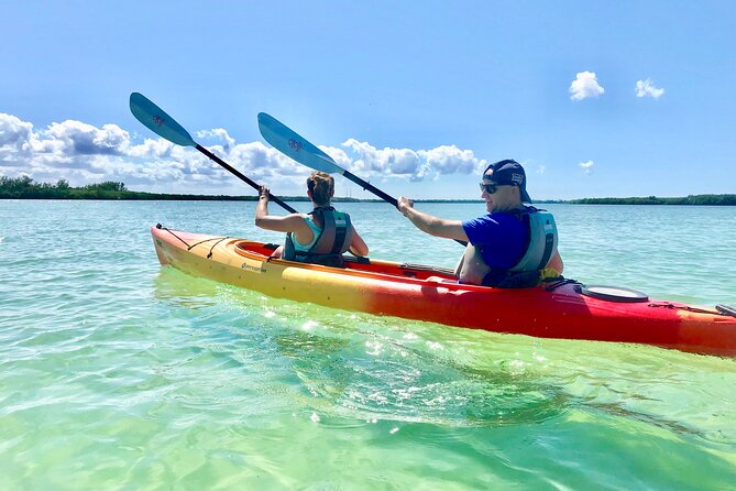 Small Group Kayak Tour of the Shell Key Preserve - Key points at a glance