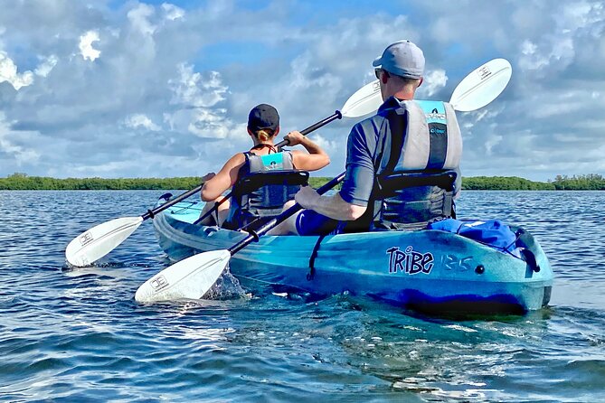 Small Group Kayak Tour of the Shell Key Preserve - Wildlife along the Shell Key coast