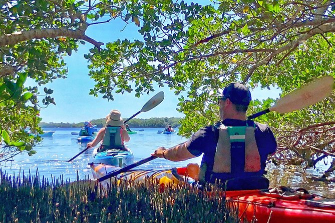 Small Group Kayak Tour of the Shell Key Preserve - Landing on Shell Key