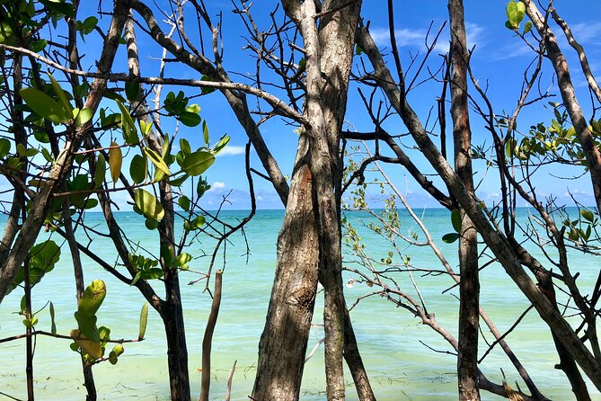 Small Group Kayak Tour of the Shell Key Preserve - How demanding is three hours?
