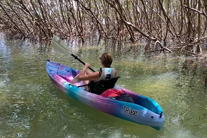 Small Group Kayak Tour of the Shell Key Preserve - What to bring for a Florida water outing