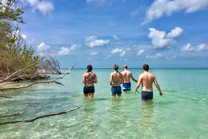 Small Group Kayak Tour of the Shell Key Preserve - The first paddle across open water