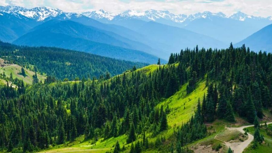 Small Group: Olympic National Park Day Tour From Seattle - Lake Crescent slows the pace