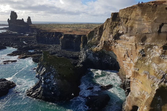 Small-Group Snaefellsnes National Park Day Trip from Reykjavik - Ytri Tunga is the wildlife gamble