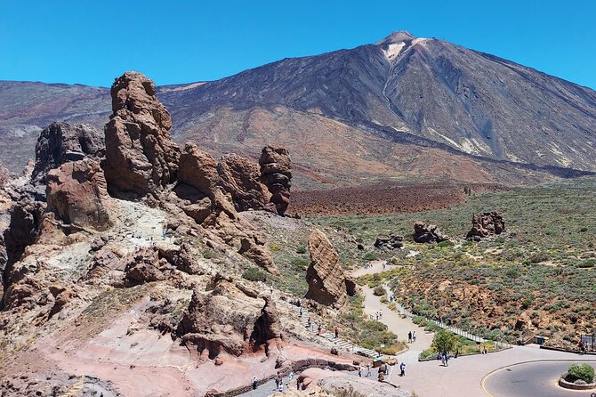 Small Group Teide National Park Volcanic and Forest Wonders - From Vilaflor coffee to volcanic rock