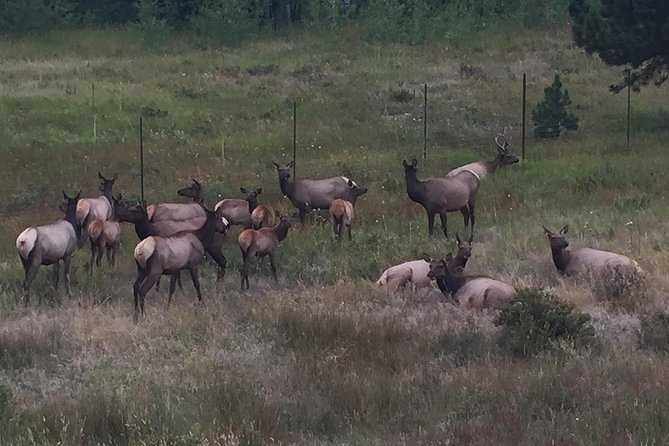 Small-Group Tour of the Rocky Mountain National Park from Denver - What to bring for comfort