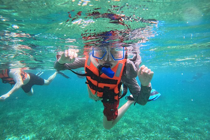 Snorkel at the Reef 2 HOURS Puerto Morelos National park - Puerto Morelos puts the reef within easy reach