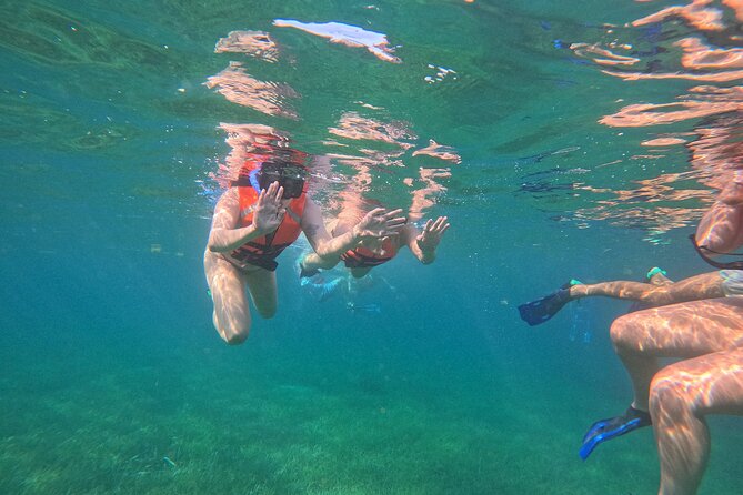 Snorkel at the Reef 2 HOURS Puerto Morelos National park - Who will get the most from this outing?