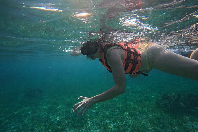 Snorkel at the Reef 2 HOURS Puerto Morelos National park - Marine life is the main reward