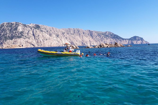 Snorkeling marine protected area Tavolara - The Crisso wreck brings a story to the sea
