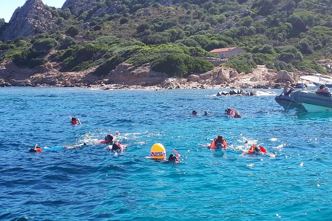 Snorkeling marine protected area Tavolara - Why the small group and guides matter