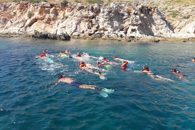 Snorkeling marine protected area Tavolara - What the $84.69 price includes in practical terms