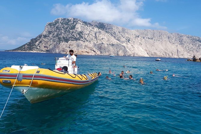 Snorkeling marine protected area Tavolara - Booking timing, meeting point, and cancellations