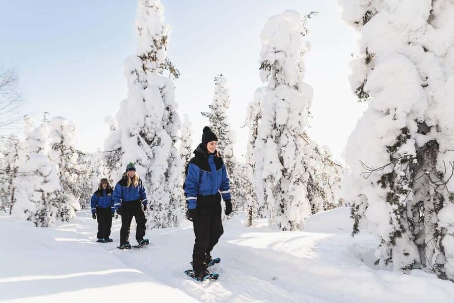 Snowshoeing in the Arctic Wilderness - Leaving Rovaniemi for the White Forest