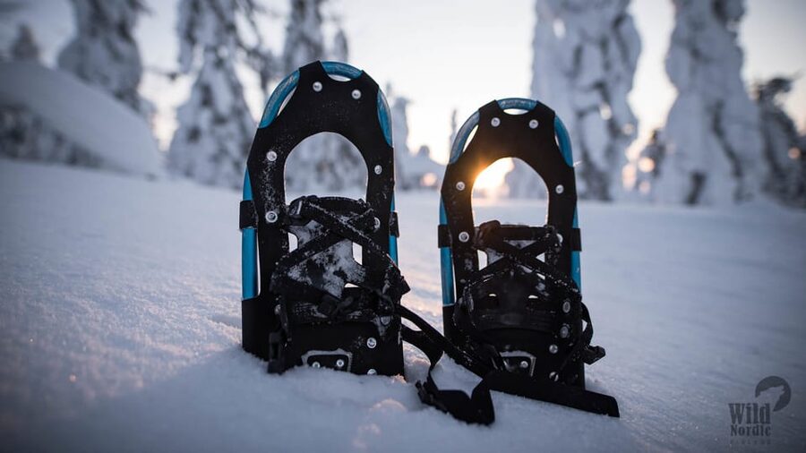 Snowshoeing in the Arctic Wilderness - When This Tour Fits Best