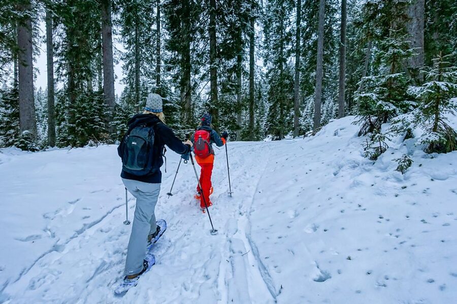 Snowshoeing in Triglav national park - A quiet way into Triglav National Park