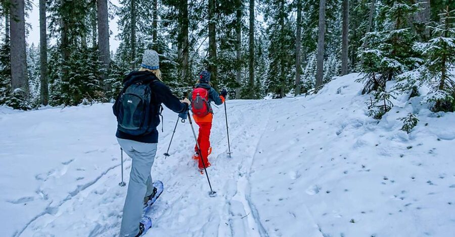 Snowshoeing in Triglav national park - Choosing between a gentle walk and a harder outing