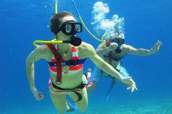 SNUBA Cozumel Underwater Adventure inside Chankanaab National Park - What you may see below the surface