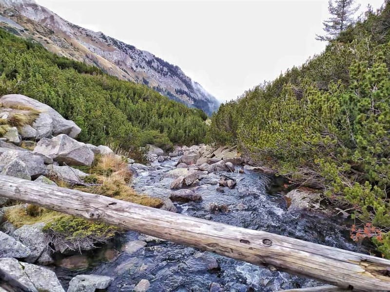 Sofia: Pirin National Park Hike & Bansko Visit - Hiking from Vihren Hut to Three Banderishki Lakes