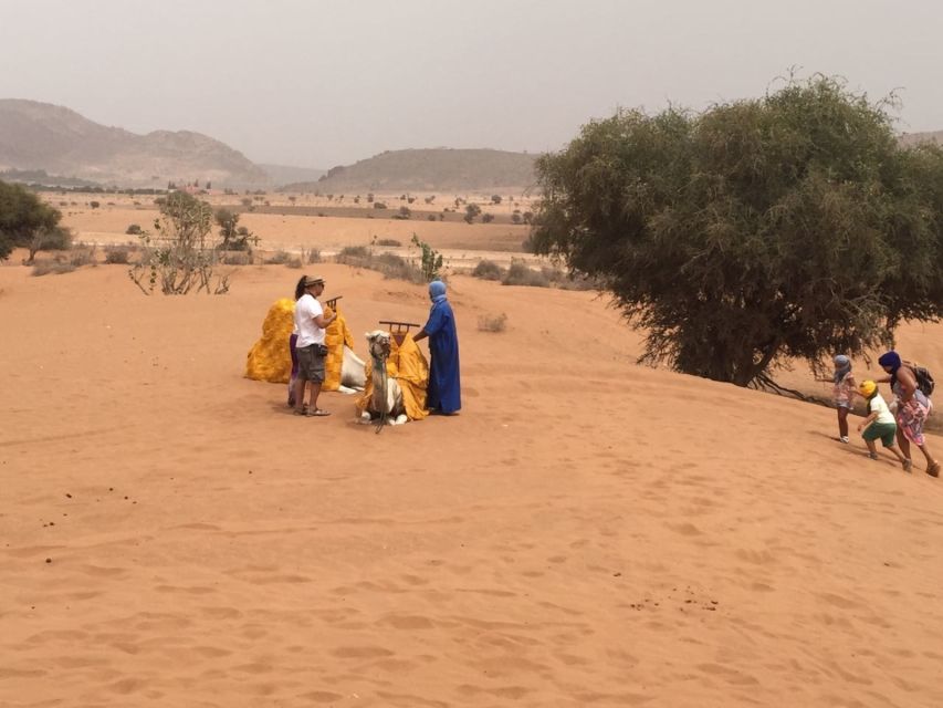 Souss-Massa National Park: Full Day Jeep Tour with Lunch - Key points to know before you book