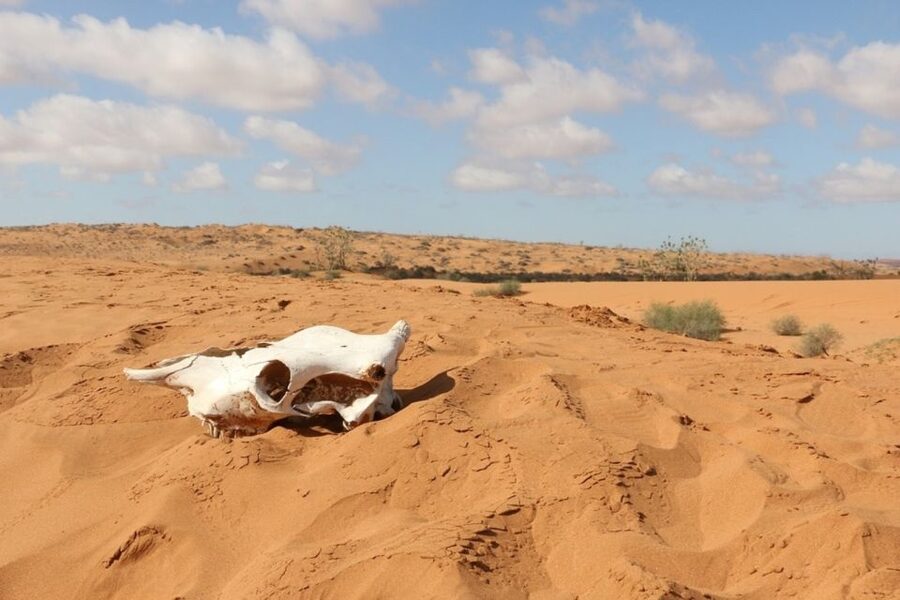 Souss-Massa National Park: Full Day Jeep Tour with Lunch - The small desert of Massa