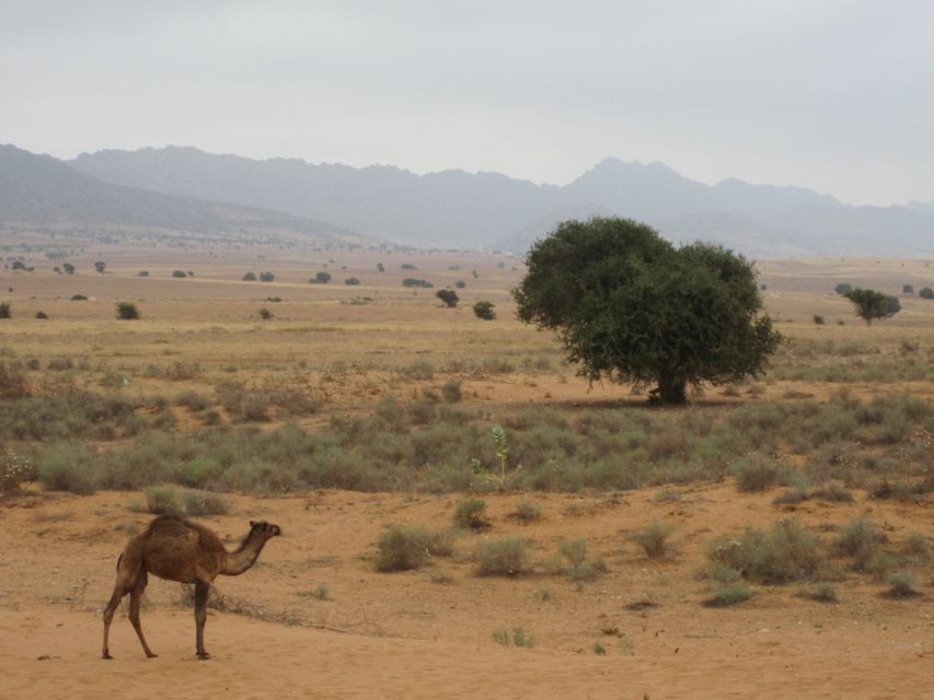 Souss-Massa National Park: Full Day Jeep Tour with Lunch - Sidi R’bat and the Atlantic coast