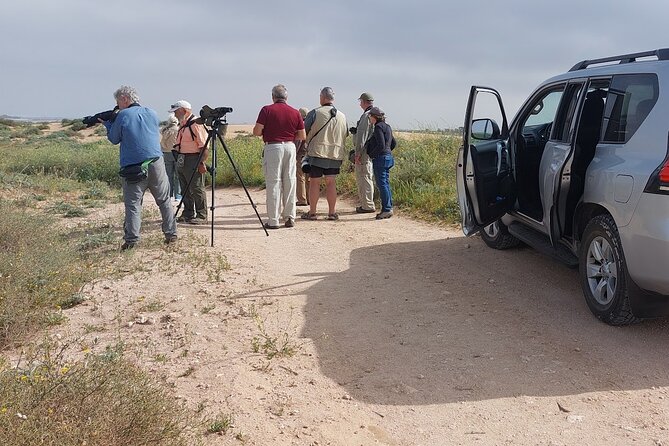 Souss Massa National Park Half Day Trip from Agadir - Key points to know before you book