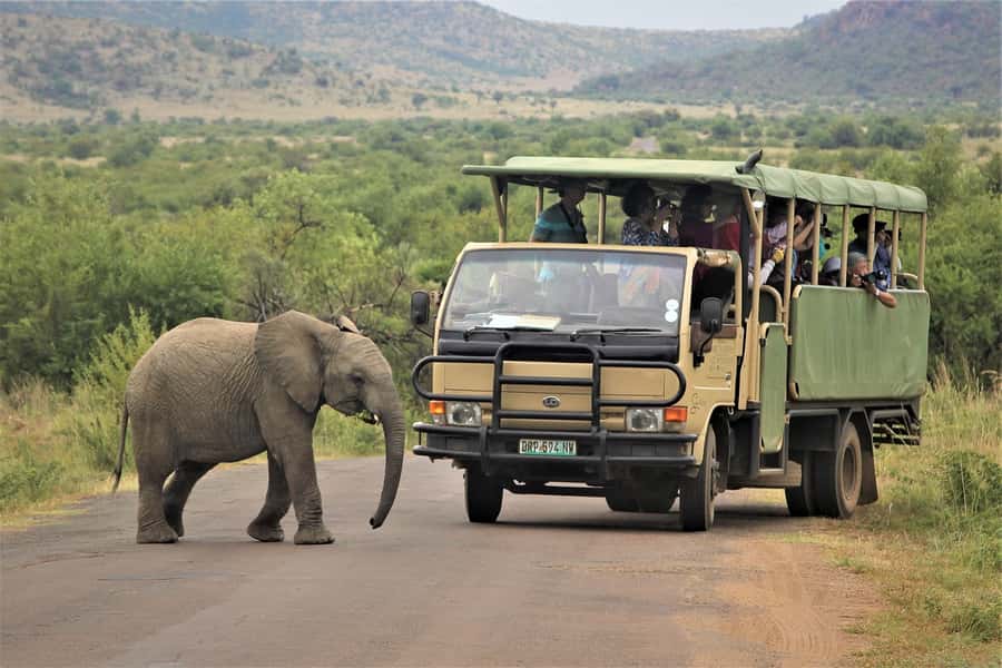 South Africa Joburg: Pilanesberg National Park Day Tour - The 2-hour-15-minute road trip from Gauteng or North West