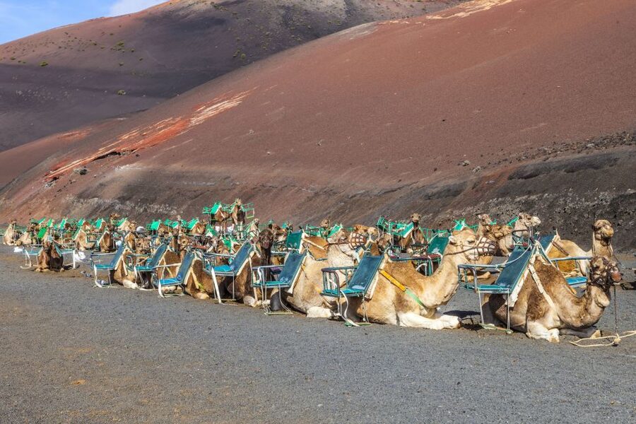 South Tour: Timanfaya National Park - Why Timanfaya feels unlike the rest of Lanzarote
