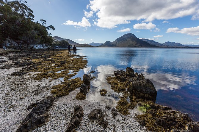 Southwest Tasmania Wilderness Experience: Fly Cruise and Walk Including Lunch - What the guides add to the experience