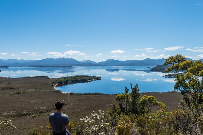 Southwest Tasmania Wilderness Experience: Fly Cruise and Walk Including Lunch - The flight south to Melaleuca