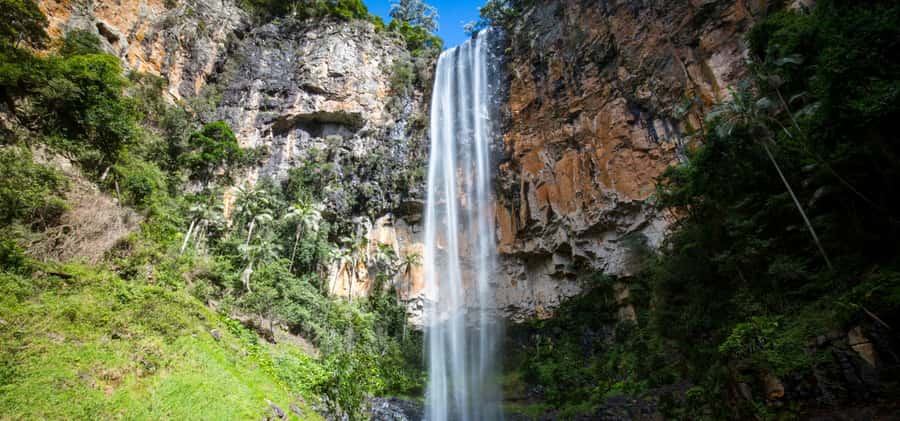 Spring Brook National Park Driving Tour with an APP - Starting at the Springbrook Watertank Art and Winburn Lookout