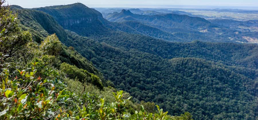 Spring Brook National Park Driving Tour with an APP - Canyon Lookout and the Gold Coast in the distance