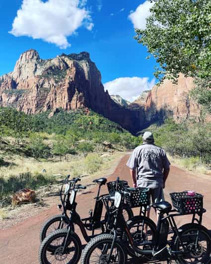 Springdale: Guided eBike Tour in Zion National Park - Starting at 736 Zion Park Boulevard