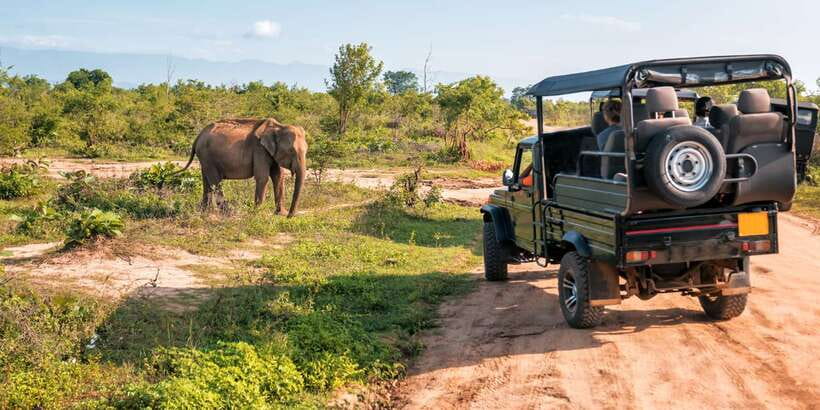Sri Lanka: 2-Day wildlife tour; rainforest and National park - The overnight stop and the price of a tight schedule