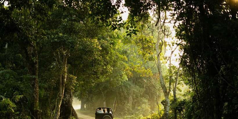 Sri Lanka: 2-Day wildlife tour; rainforest and National park - The blue train from Ella toward Nanu Oya
